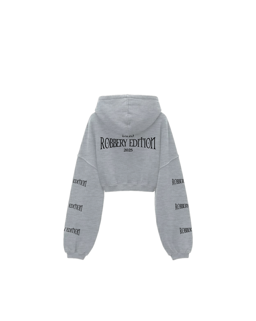 HEIST ZIPUP