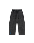 DRIFTX Pants